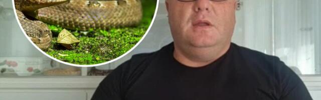 POZNATI ZMIJOLOVAC STANKOVIĆ UPOZORAVA! U Srbiji vlada OPASNA ZVER, ujed izgleda specifično, a jedna ključna stvar može da vam SPASE život! (VIDEO)