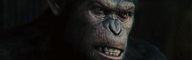 Majmuni ušli u kameno doba