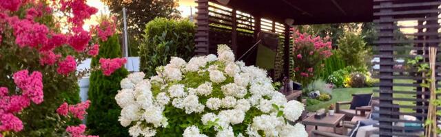 Ovo su najveći vrtni trendovi za 2026: Kako da staro dvorište postane moderna oaza