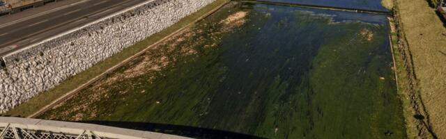 Drama u Sarajevu: Nepoznata osoba upala u Miljacku, potraga u toku