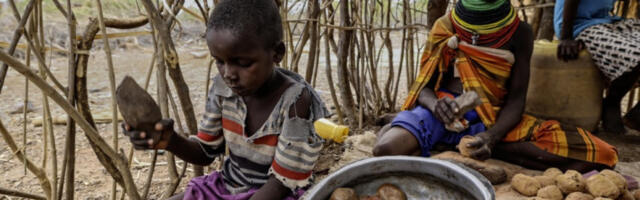 УН: достигнут најкритичнији ниво акутне глади у свету