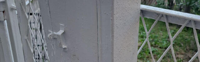 Priroda uvek nađe način: Ptići se izveli u poštanskom sandučetu (FOTO)