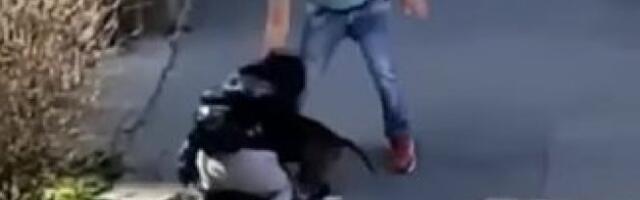 TUŽILAŠTVO ODREDILO ZADRŽAVANJE! Muškarac koji je tukao ženi i njenog psa u Zemunu lišen slobode!