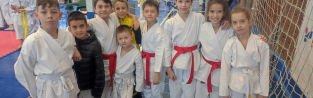 Petnaest medalja za vranjske karatiste u Jagodini