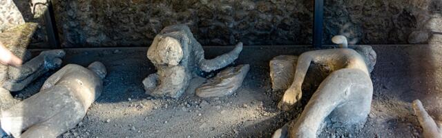 DNK dokazi iz Pompeje otkrivaju da žrtve nisu bile ono što se mislilo