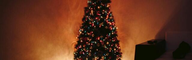 Kada je pravo vreme da se raskiti jelka? Običaji, verovanja i savremene navike