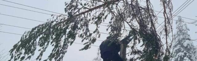 Ovo su heroji koji spasavaju Srbiju: Monteri po mećavi rizikuju svoje živote, Ivanjica dobila struju