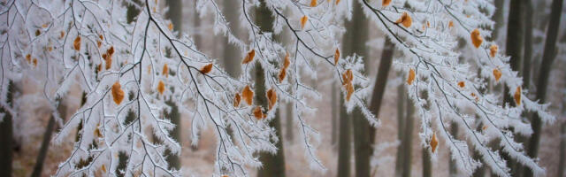 Sutra i -11, a biće još ledenih dana: RHMZ objavio prognozu za sledeću nedelju, evo kada ćemo predahnuti