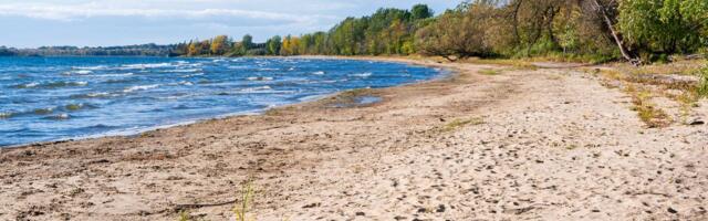 Ribar naišao na užas na Visu! Snimio raspadnuto truplo morske nemani i odmah mu stigla poruka: "Pozovi 112"