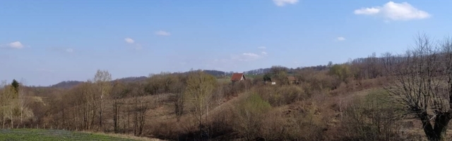 Gradska petorka razbila sve predrasude i uspešno se bavi poljoprivredom (FOTO)