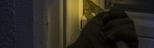 UHAPŠENI PROVALNICI IZ NIŠA! Alarm ih sprečio u drugoj krađi