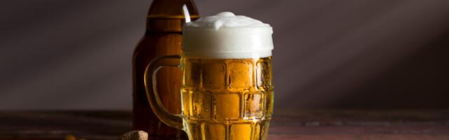 Šta sve možete uraditi sa pivom