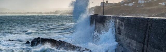 KOPNENA ZVER ZALUTALA U MORE: Na 200 metara od plaže ŠOKANTNI PRIZORI (FOTO)