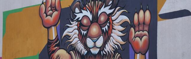 STARI ZIDOVI DOBILI NOVI ŽIVOT! Za 10 godina nastalo više od 130 umetničkih dela, evo kako je jedan festival promenio priču grada! (FOTO)