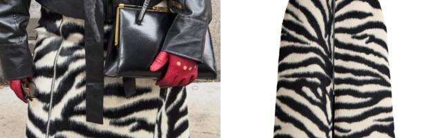 Ni bambi, ni leopard – ova zebrasta suknja nam oduzima dah