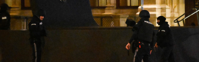 ORUŽJE TERORISTA: Preko Hrvatske do Beča?