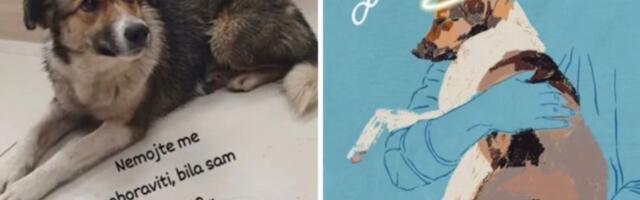 Tužilaštvo odbacilo prijavu za ubistvo psa Done, a mural zabranjen