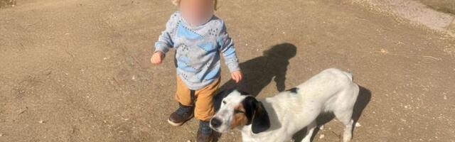 Majka malog Leona (2) kojeg je pitbul izujedao na smrt otkrila svoje sumnje: "Prvo su se čuli pucnji..."
