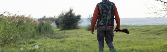 Jeziva scena u Aranđelovcu: Vozio leš vepra na haubi kroz centar grada (FOTO)