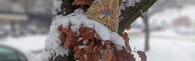 Apel Spomen-parka „Kragujevački oktobar” u Šumaricama sugrađanima da ne seku badnjake