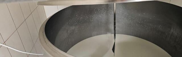 Ministarstvo poljoprivrede, proizvođači, mlekare i uvoznici postigli dogovor: Rast cena i zaštita domaćih proizvoda