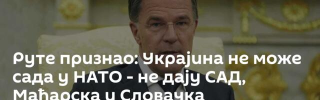 Руте признао: Украјина не може сада у НАТО - не дају САД, Мађарска и Словачка