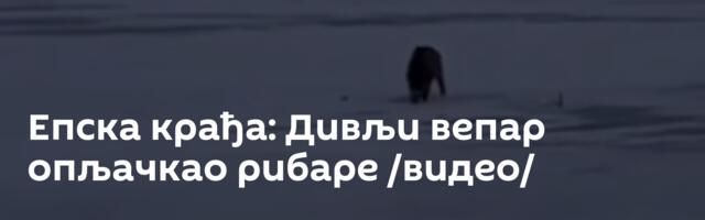 Епска крађа: Дивљи вепар опљачкао рибаре /видео/