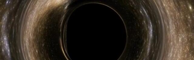 Simulacija koja nam otkriva kako bi izgledalo propadanje u crnu rupu