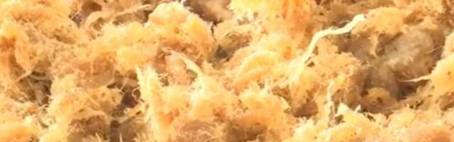 Specijalitet koji je dugo bio tajna domaćica sa juga Srbije: Ovo je bolje i od čvaraka, ko proba neće se pokajati