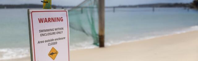 Dečak se bori za život nakon što ga ugrizla ajkula: Zatvorene popularne plaže posle trećeg napada zveri za 24h