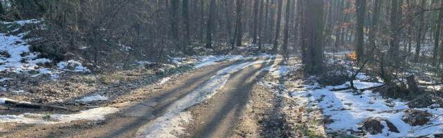 Jelena iz Loznice ugledala nestvaran prizor i odmah fotografisala: "Bilo je fascinantno gledati ih tako blizu"