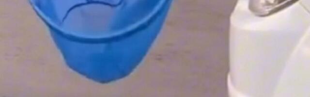 Nesvakidašnja scena: Ogromna riba napravila pometnju na ulicama, zaustavljen saobraćaj