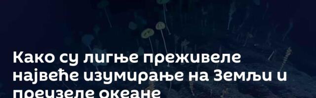 Како су лигње преживеле највеће изумирање на Земљи и преузеле океане
