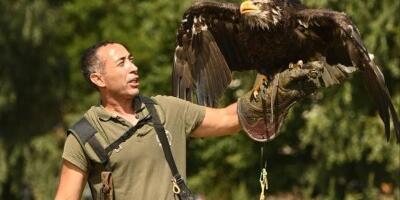 Nebeski čuvari: Priča sokolara Hanija Girgisa o poverenju, slobodi i prirodi