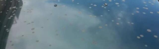 Kanađane zasipaju g*vna sa nebesa