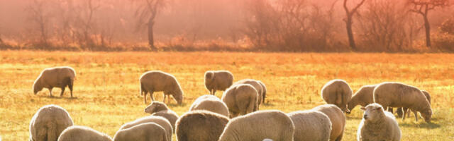 Vuna od gej ovnova hit u svetu mode: Dizajner predstavio kolekciju koju su nosile razne zvezde