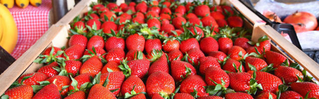 Ministarstvo poljoprivrede saopštilo: Osim borovnica i malina, sada se subvencionišu i jagode