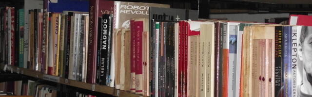 Šta su južnjaci najviše čitali u bibliotekama u 2025. godini – najpopularniji ljubavni romani