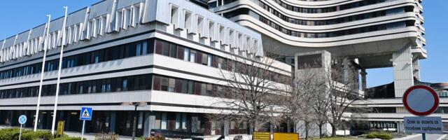 PIJACE U BEOGRADU OTVORENE ZA PRAZNIK: Pogledajte radno vreme