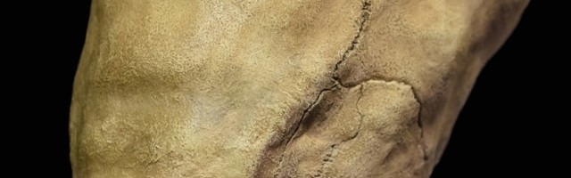 U zagonetnim grobnicama okriveno je niz kontroverznih ljudskih ostataka koji će zauvek promeniti način na koji gledamo na pretke i poreklo