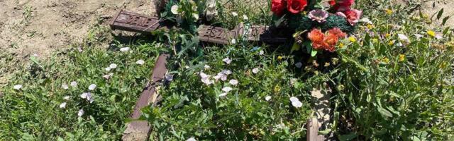 Oskrnavljeni nadgrobni spomenici u Plemetini kod Obilića