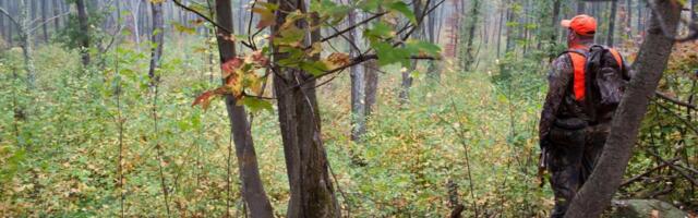 MLADIĆ (20) SE IZGUBIO U ŠUMI, A UMESTO POLICIJU, UPOMOĆ ZVAO CHATGPT! Sedam sati lutao po planini Sljemen, oglasila se gorska služba o celom slučaju