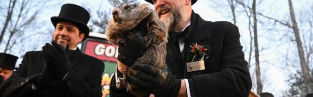 Da li je Fil video svoju SENKU: Popularni MRMOT objavio prognozu zime, čekamo "izjavu" medveda Uroša