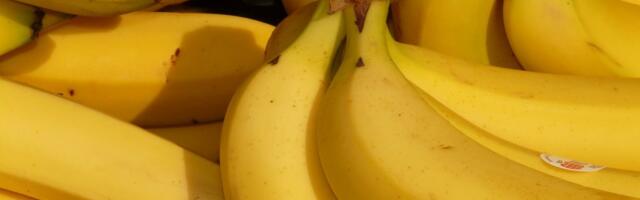 Da li banane zaista pomažu protiv umora i gladi ili su bolji saveznik za bolji san?