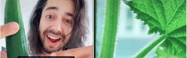 KAKO DA UZGAJATE KRASTAVAC KOD KUĆE? Ovaj fenomenalan trik sigurno uspeva!