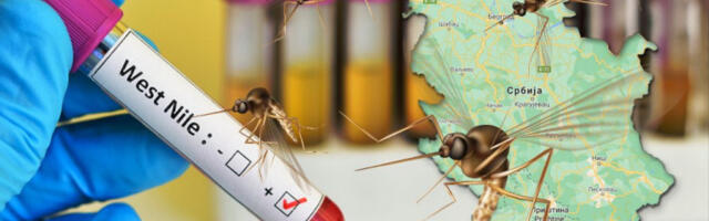 NOVI ZARAŽENI U BEOGRADU! Batut se HITNO oglasio: Još jedan slućaj obolevanja od virusa Zapadnog Nila
