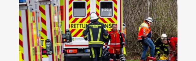 Tragedija u Nemačkoj: Drvo palo i usmrtilo majku, bebu i devojčicu