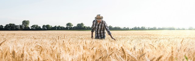 Popusti „Dunav osiguranja“ za poljoprivrednike i u vanrednom stanju