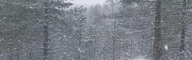 Jutarnji mraz i sneg na planinama