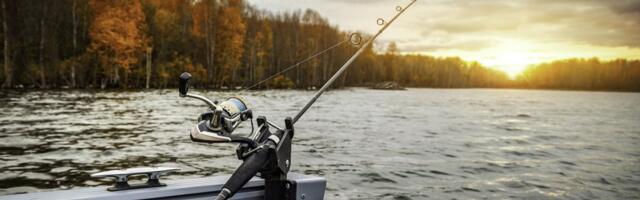 Aleksandar izvukao misterioznog stvora iz Jadrana: Stručnjaci u šoku, ovde mu nije mesto